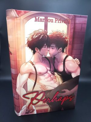 Perhaps - Romance New Adult MxM - Format Relié