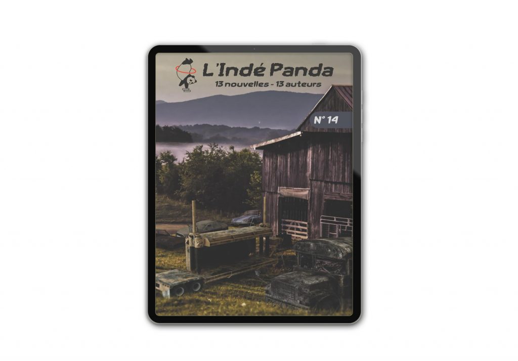 Epub L&rsquo;indé Panda n°14 – Recueil de nouvelles par des auteur(ice)s autoédité(e)s