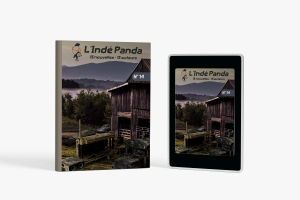 Broché - L'indé Panda n°14 - Recueil de nouvelles par des auteur(ice)s autoédité(e)s